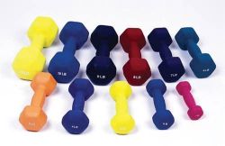Dumbell Weights 9 lb * One piece internal casting cast iron with 