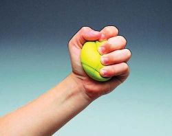Hand Exercise Products Squeeze to prune size and, within 2 to 3 seconds, it returns back to its full 2 7/16