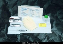 Universal Trays BARDIA? Foley Insertion Tray includes Foley catheter prepping components only * These components include: Waterproof underpad, fenestrated drape, 5g lubricating jelly, 2 latex-free exam gloves, graduated collection container * 3 Povidone iodine swabsticks * 30cc syringe * Peel-top package * Single-use, sterile * HCPCS Code A4310